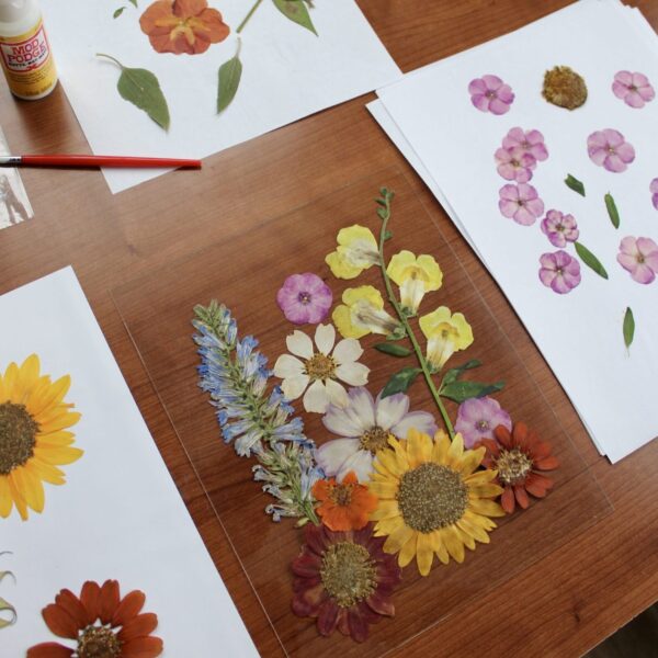 Homegrown Variety - Image 5