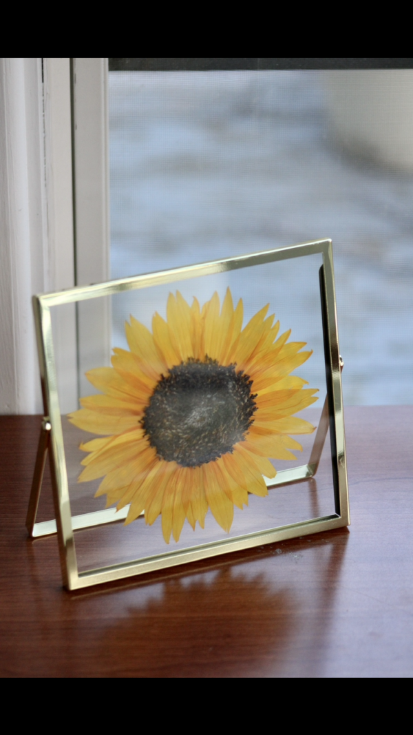 Sunflower - Image 2
