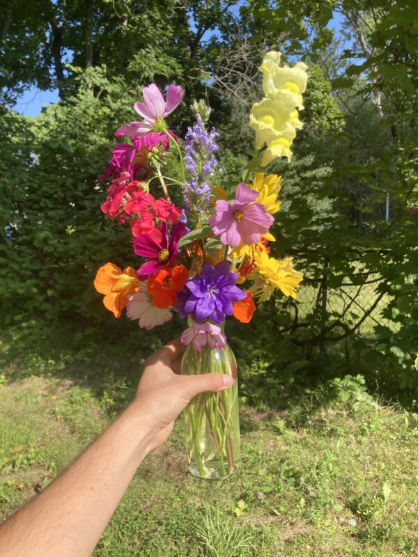 Homegrown Variety - Image 4