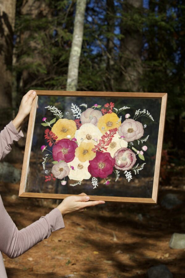 Colored Roses