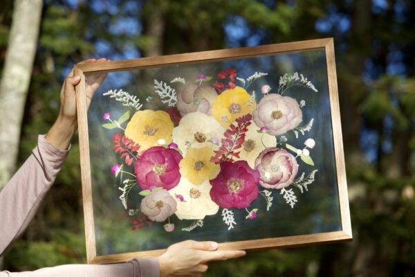 Colored Roses - Image 3