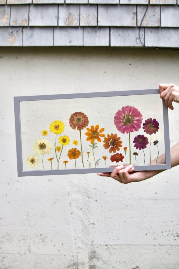 Zesty Zinnias