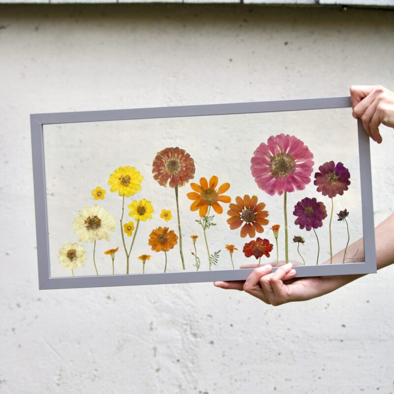 Zesty Zinnias