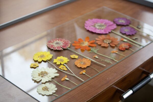 Zesty Zinnias - Image 3