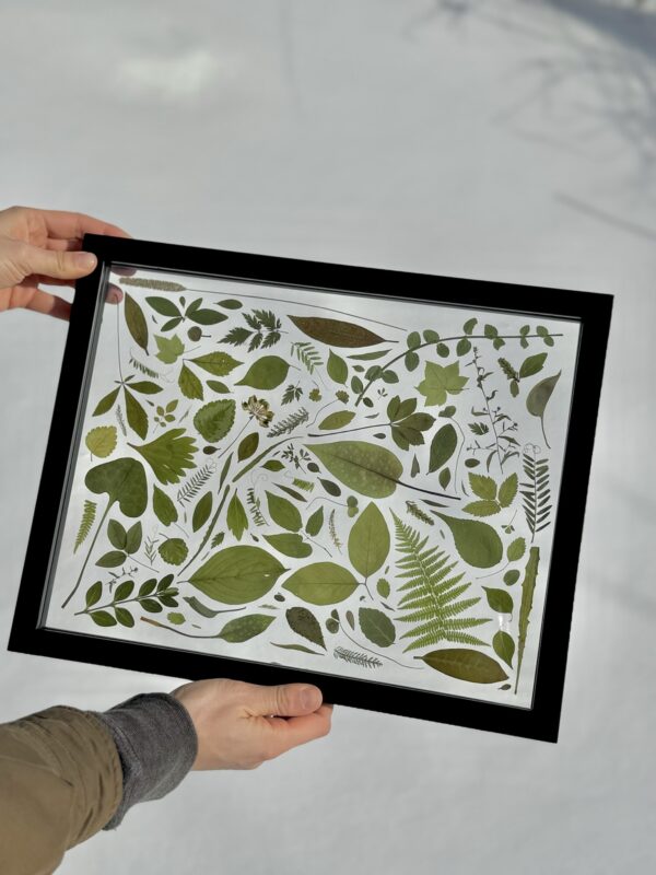 Green Leaves