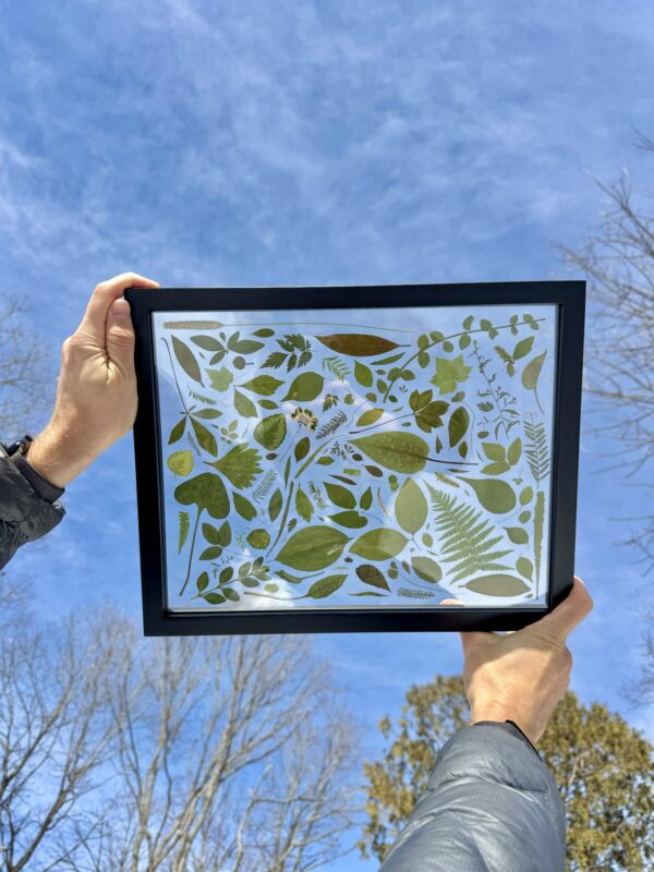 Green Leaves - Image 3